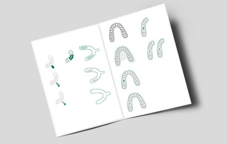 Grafikdesign Sachsendental