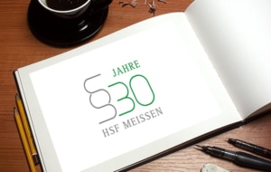 Logo erstellung HSF Meissen 30 Jahre